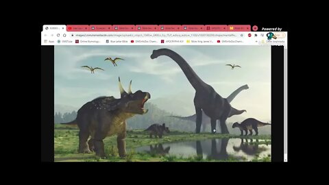 Reupload: Dinosaurs, Behemoth, Leviathan!!! (GMSInfoDoc Channel12)