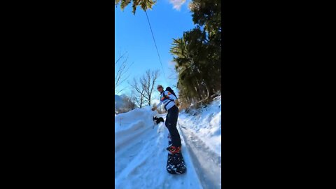 A sunny walk in the snow with my border collie, the we snowboard down.