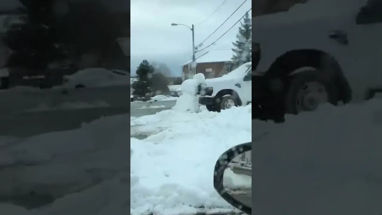 This car is not leaving with that snowman there