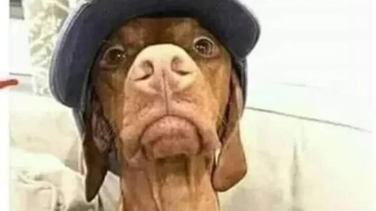 That's dumb, toxic, and needs cancelling