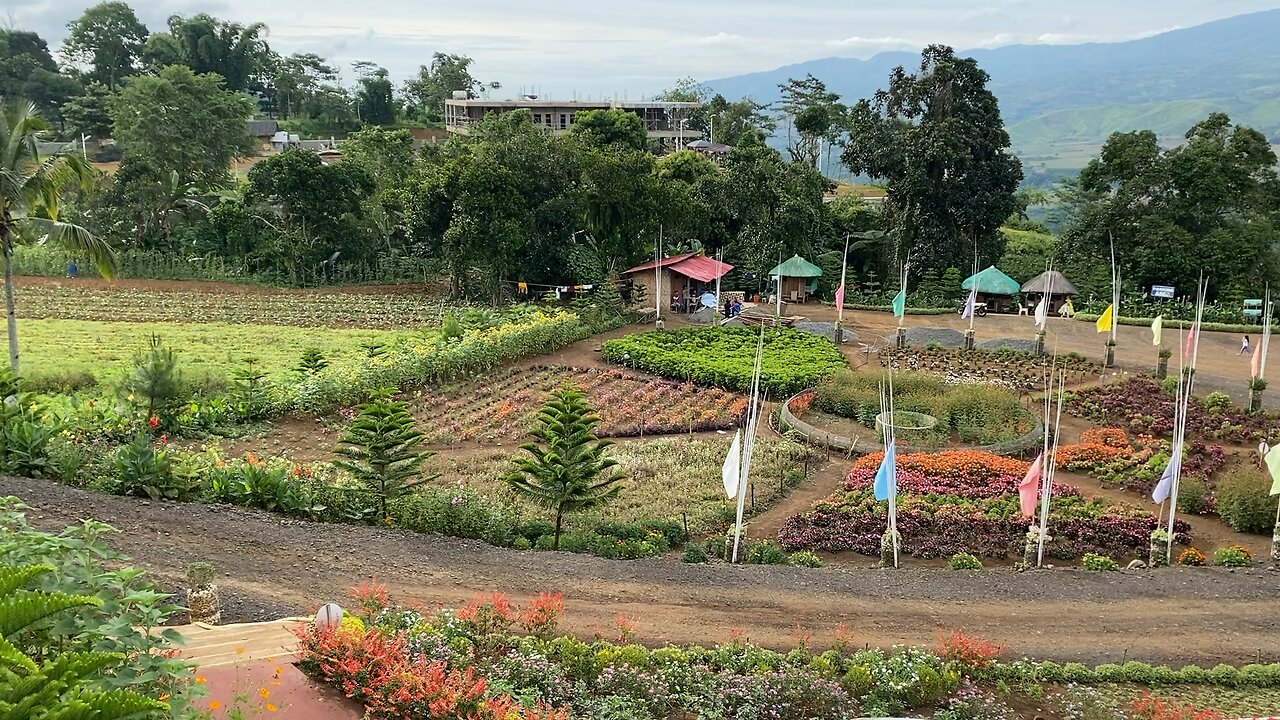Claveria view deck