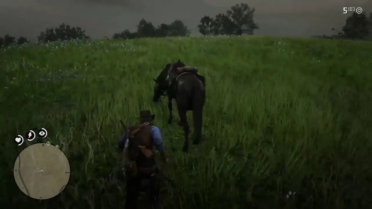Red Dead Redemption 2 part 10