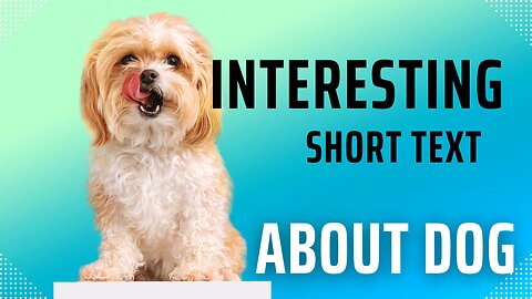 INTERESTING SHORT TEXT ABOUT DOGS