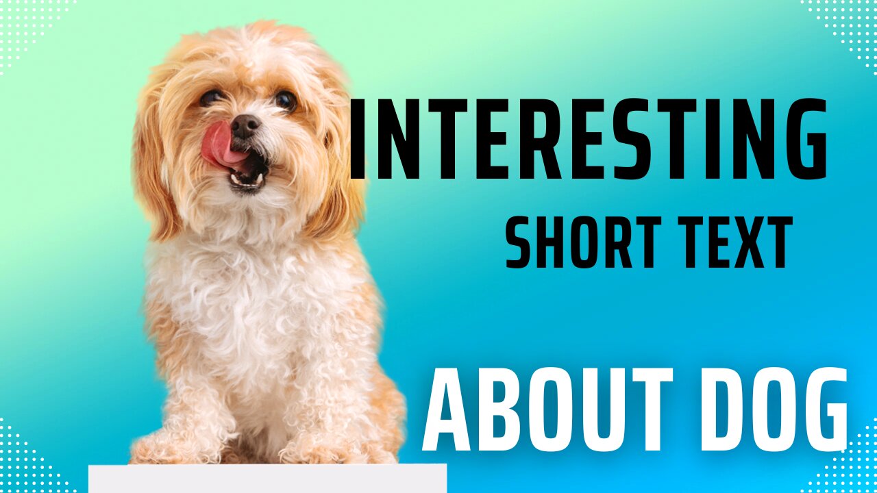 INTERESTING SHORT TEXT ABOUT DOGS
