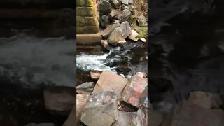 A cool river in Canada