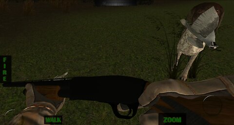 Hunting USA - quail hunting