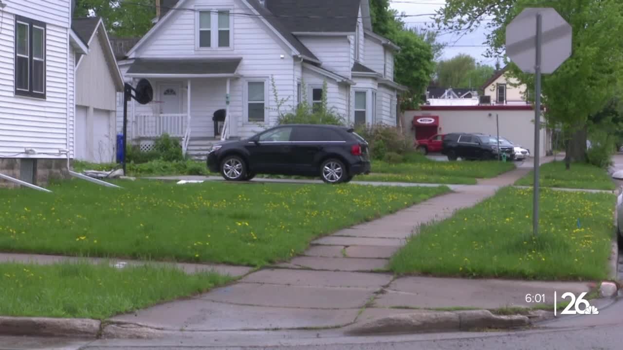 'Help out the bees': Downtown Appleton lawns reach over a foot by Day 20 of No Mow May