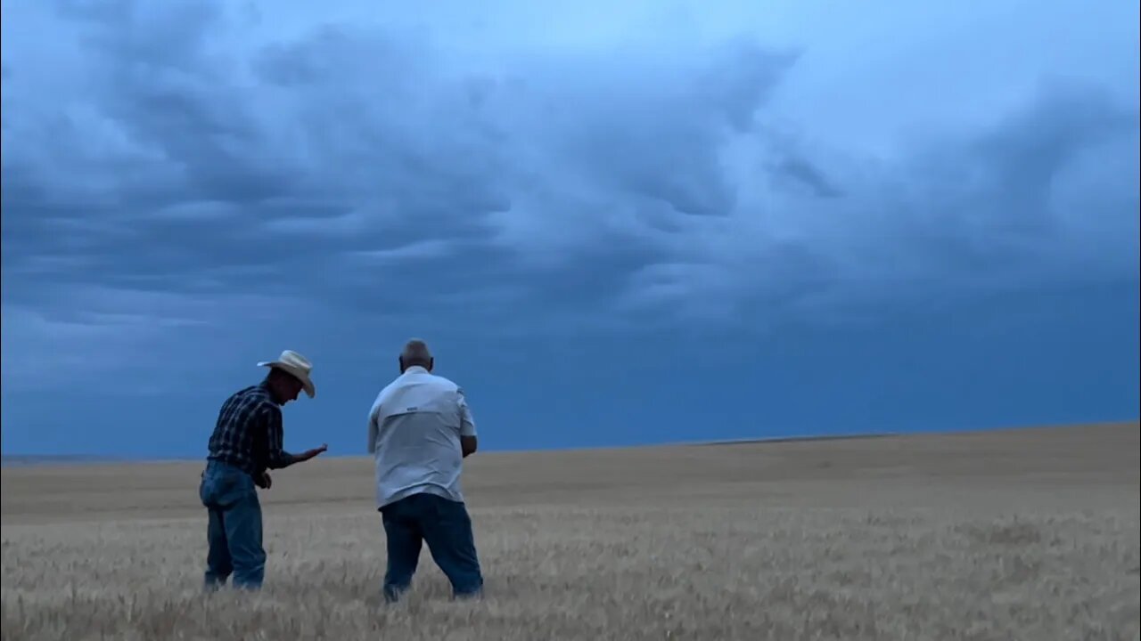 Days 14 & 15 / 2022 Wheat Harvest - June 29 & 30 (Chase, KS & on the road north)