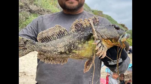 Fishing for sculpin in Malibu