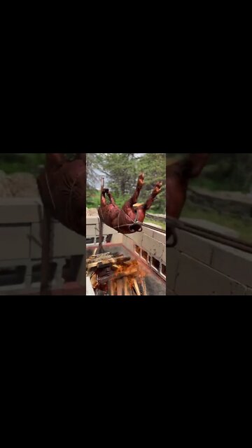 Happy Memorial Day. #shorts #pigonaspit #pig #homestead