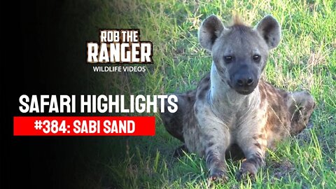 Safari Highlights #384: 18 - 21 December 2015 | Sabi Sand Nature Reserve | Latest Wildlife Sightings