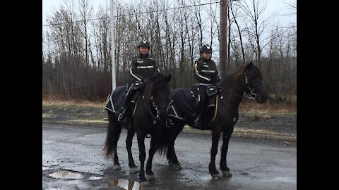 police équestre