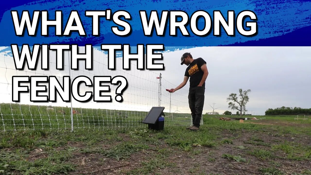 Problems With Our Chicken Fence | Vlog Everyday In June? | Surprise Coming!