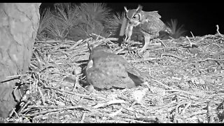 Dad Brings Breakfast 🦉 2/23/22 6:02