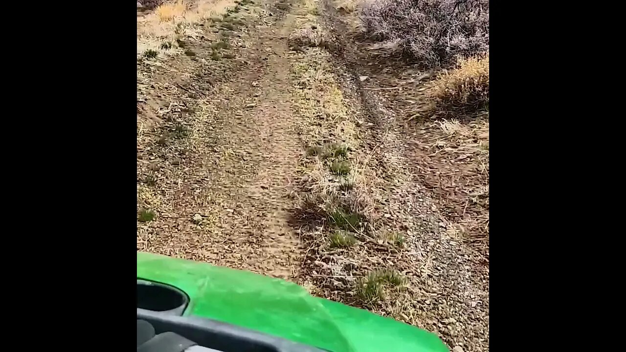 Gold Prospecting, Imlay NV