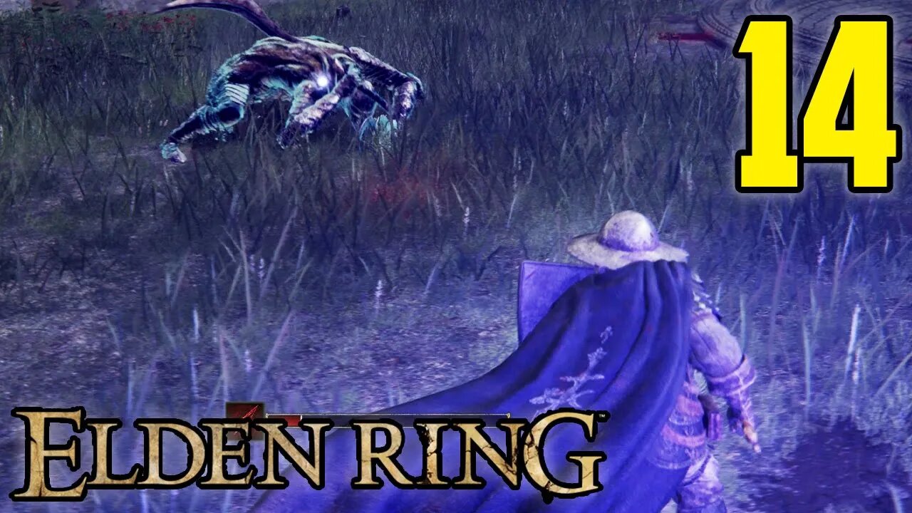 Should Every Game Be For Everyone? - Elden Ring : Part 14