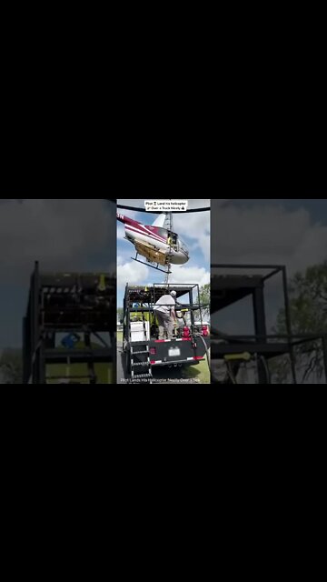 #shorts #2022 funny,prank,funjokes,dad jokes,funny memes,funny video,fun,laughing,funny animal,knock