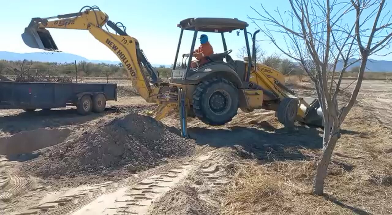 Sembrando árboles en nuestro rancho en México