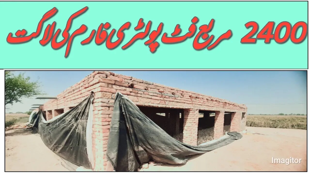 Estimate Of Poultry Farm Part 2-پولٹری فارم کی تعمیر کا تخمینہ