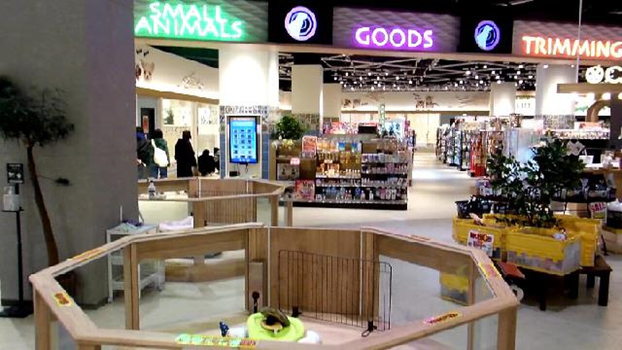 HUGE Fifi Shop in Japan!