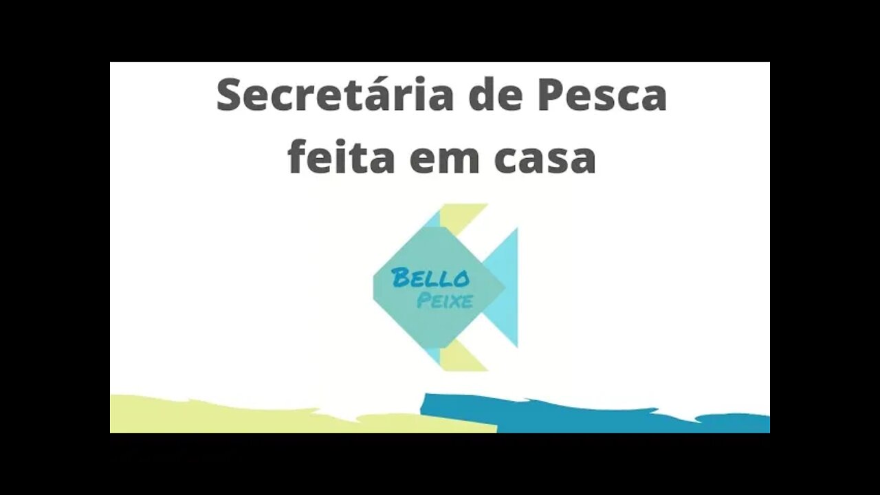 COMO FAZER EM CASA UMA SECRETÁRIA PARA PESCARIA DE PRAIA - Bello Peixe