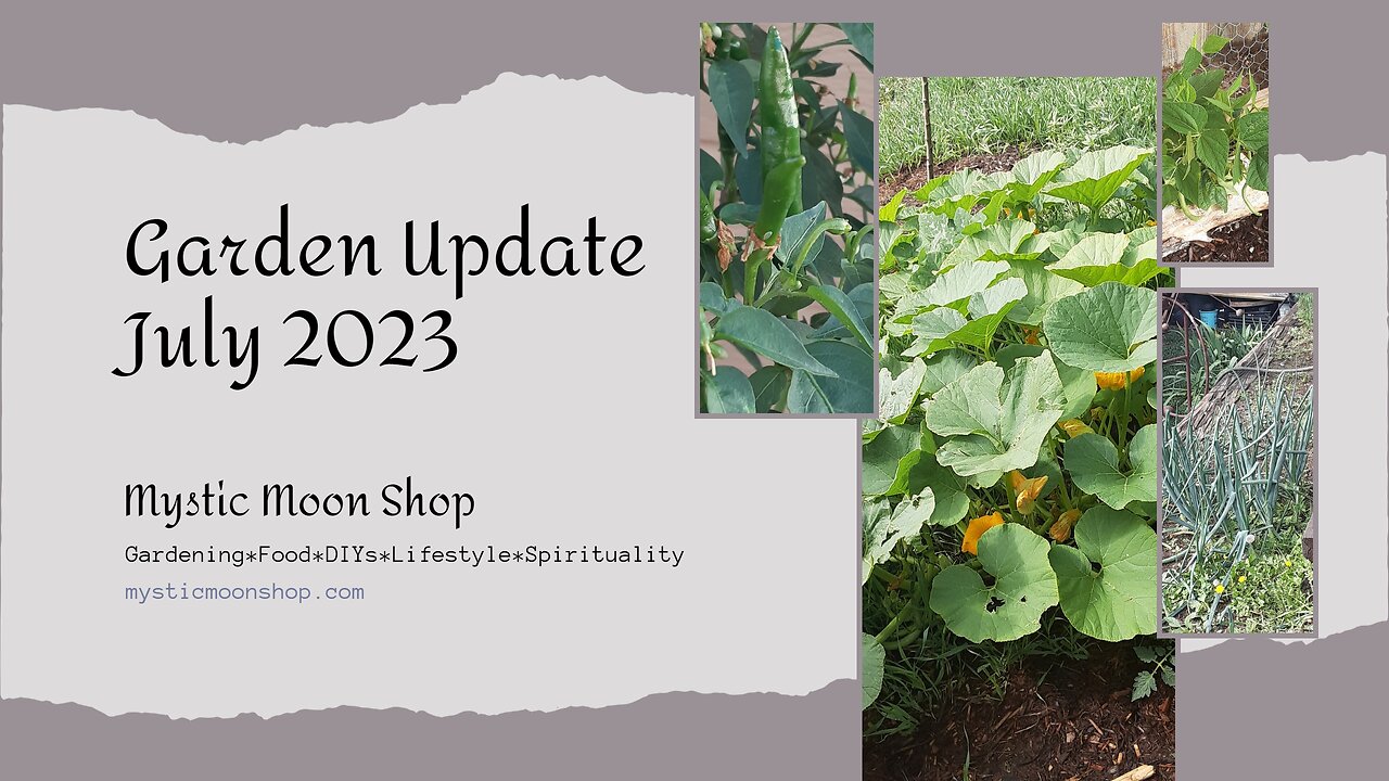 Garden Update July 2023, Grow Your Own Food