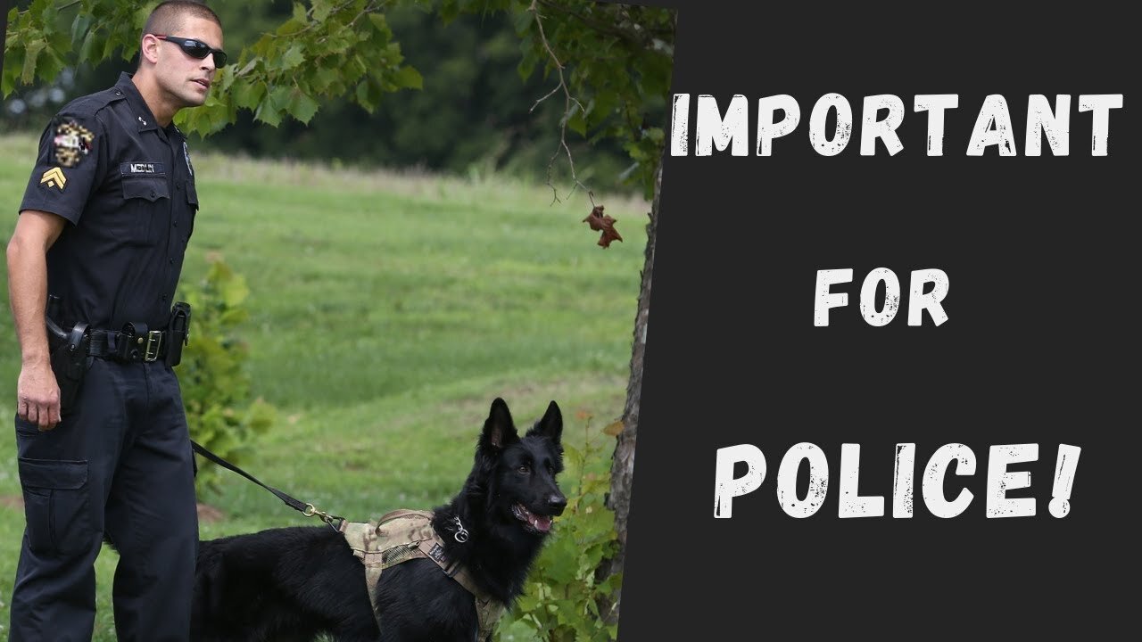 2 Very Important Aspects of Policing