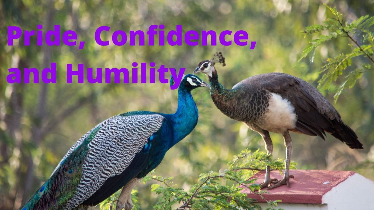 Pride, Confidence, and Humility