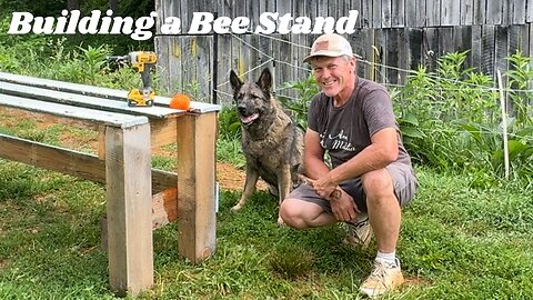 Getting Bee Hives off the Ground and Moving Locations