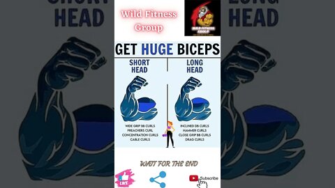 🔥Get huge biceps🔥#shorts🔥#wildfitnessgroup🔥16 June 2022🔥