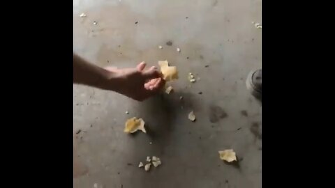 How to feed a friend 🤣