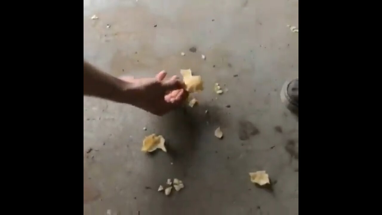 How to feed a friend 🤣