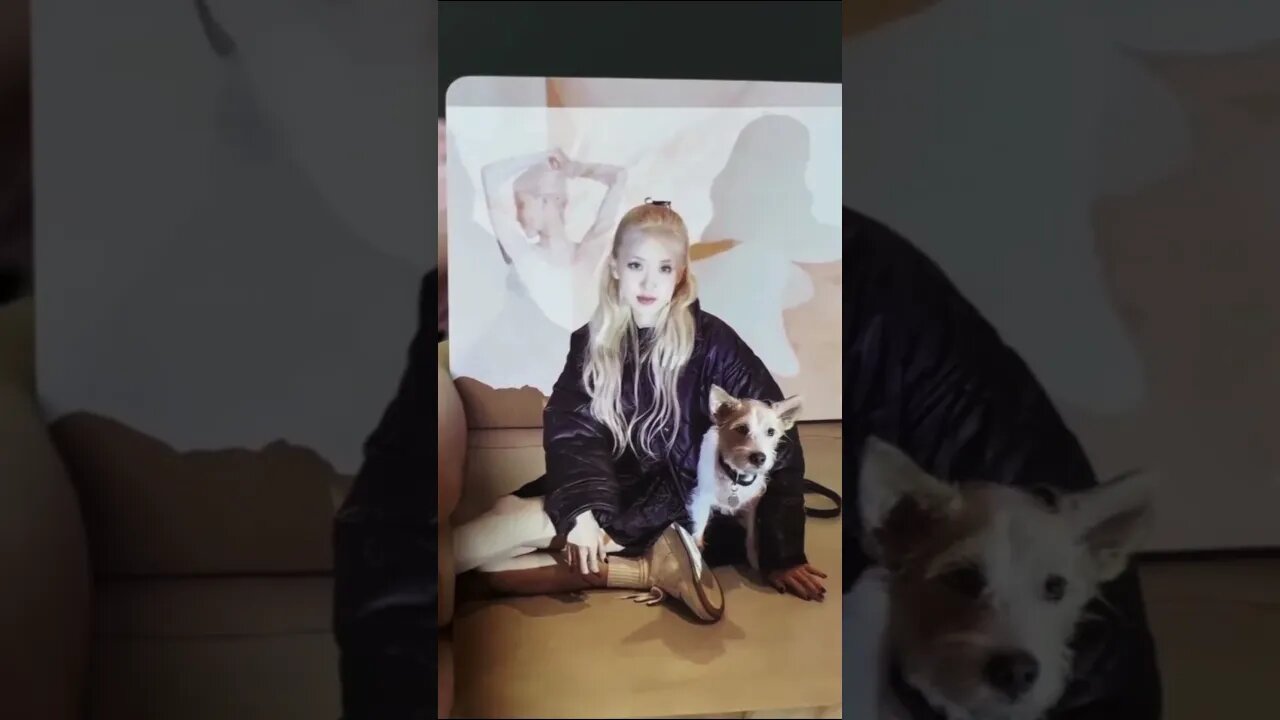 Kartu Blackpink Terbaru! š„Unboxing Kartu BLACKPINK Bornpink Lomo Card Terbaruš„