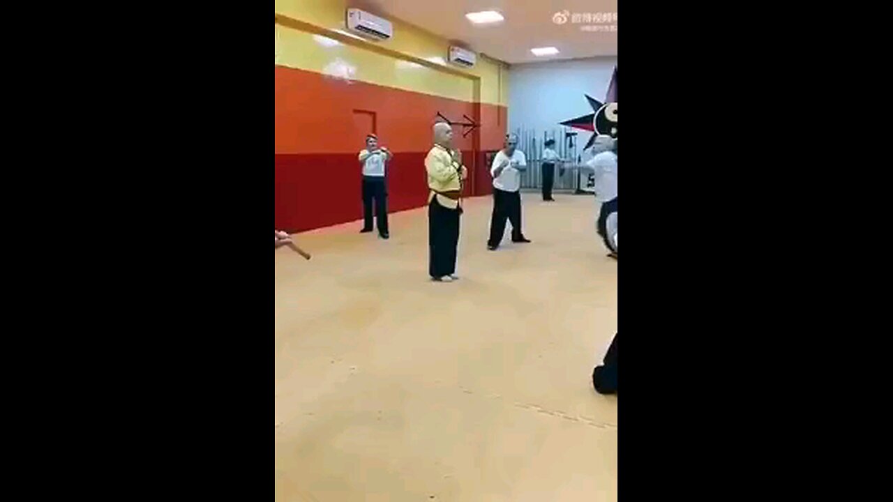 funny videos