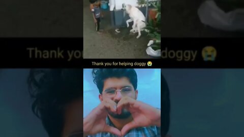 Thank you for Dogy Helping #youtubeshorts #shorts