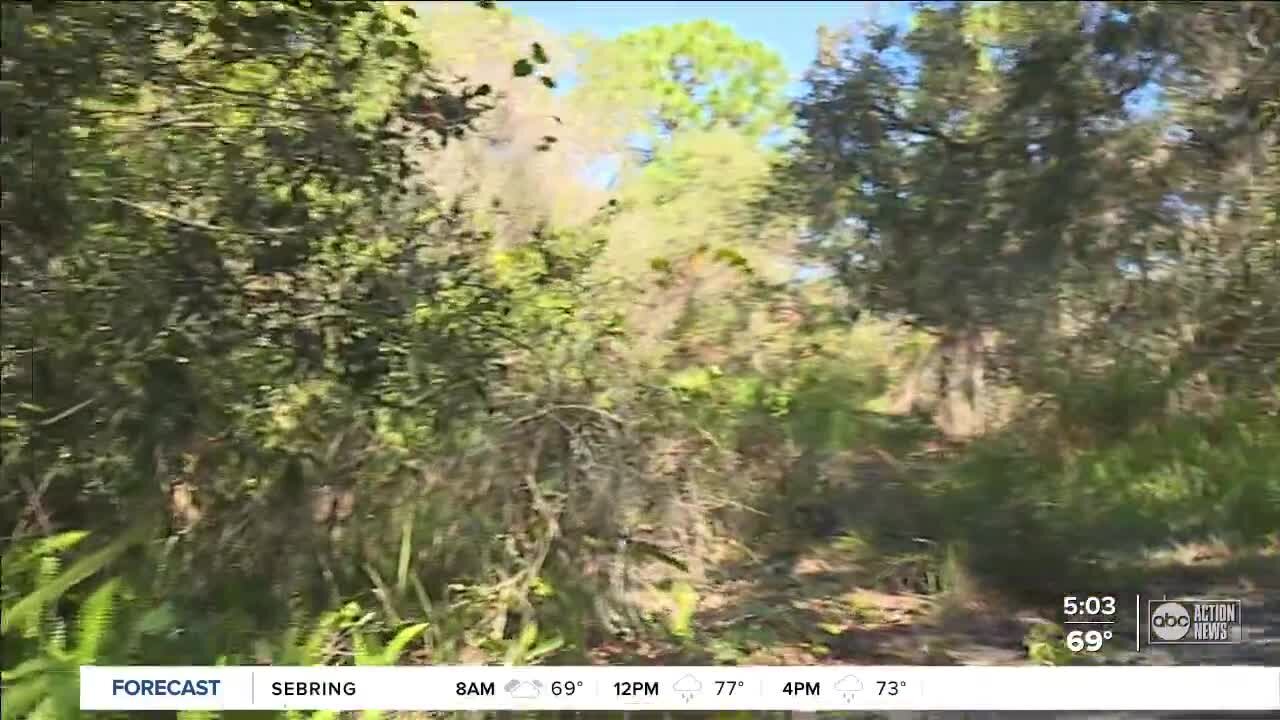 Group hoping to preserve Tarpon Springs forest makes renewed plea for donations