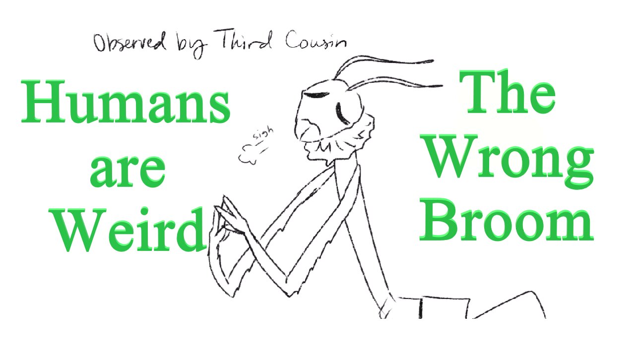 Humans ae Weird - The Wrong Broom