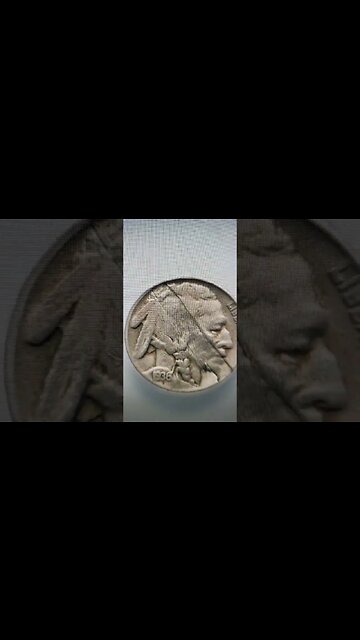 Do you own a Buffalo Nickel? #coin