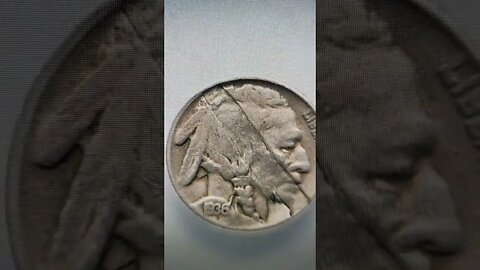 Do you own a Buffalo Nickel? #coin