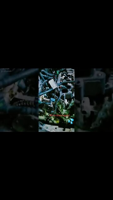 All Up in Them Guts!