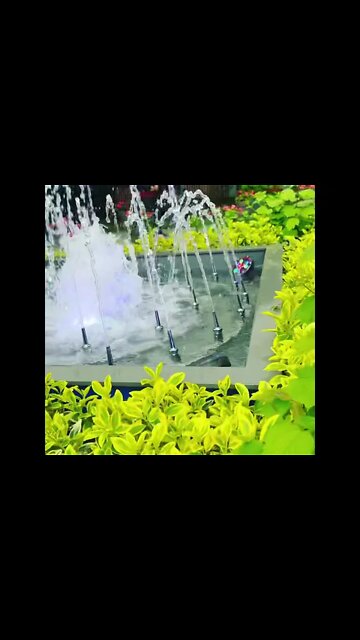 꽃분수 국립식물원