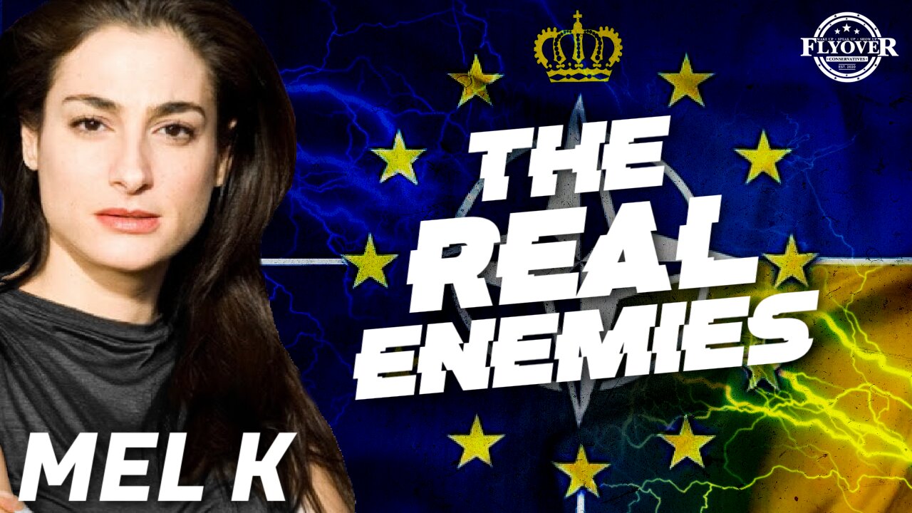 THE REAL ENEMIES: Crown, DC, WEF, NATO, Globalists vs Nationalists | Mel K