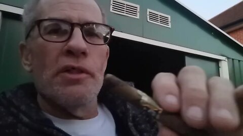 A late cheeky Cigar, Oscar 2012 Barber Pole 7x38 Lancereos.