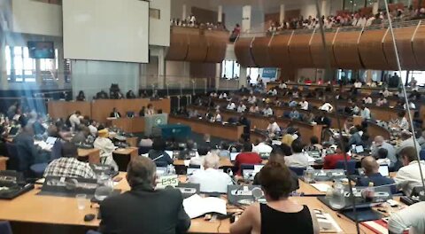 SOUTH AFRICA - Cape Town - Mayor De Lille at Cape Town City Council (Cellphone picture and Video) (8y5)