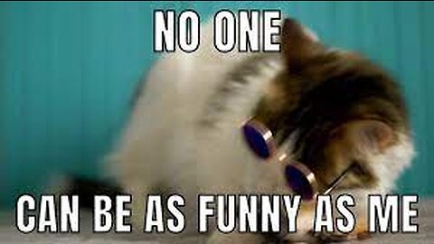 Funniest Cats and Dogs 😺🐶 Funny Animal Videos 😂