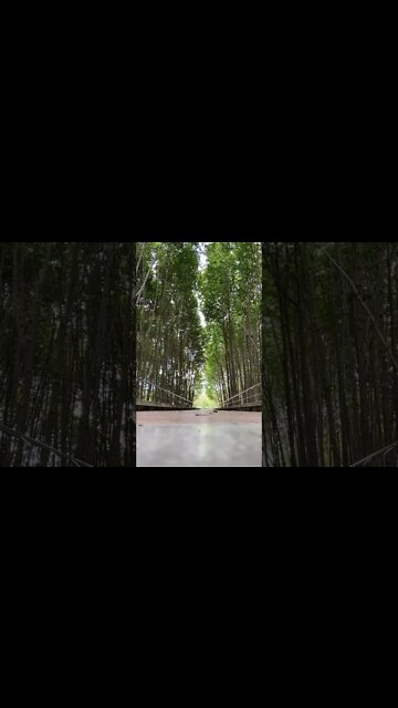 Who else loves nature ?!