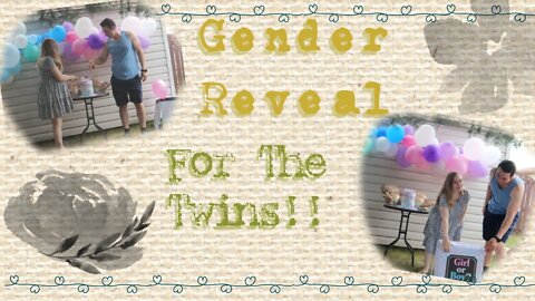 TWINS GENDER REVEAL!!