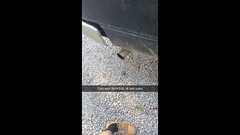 2014 Ford F-150 3.5L V6 Twin Turbo Cold Start