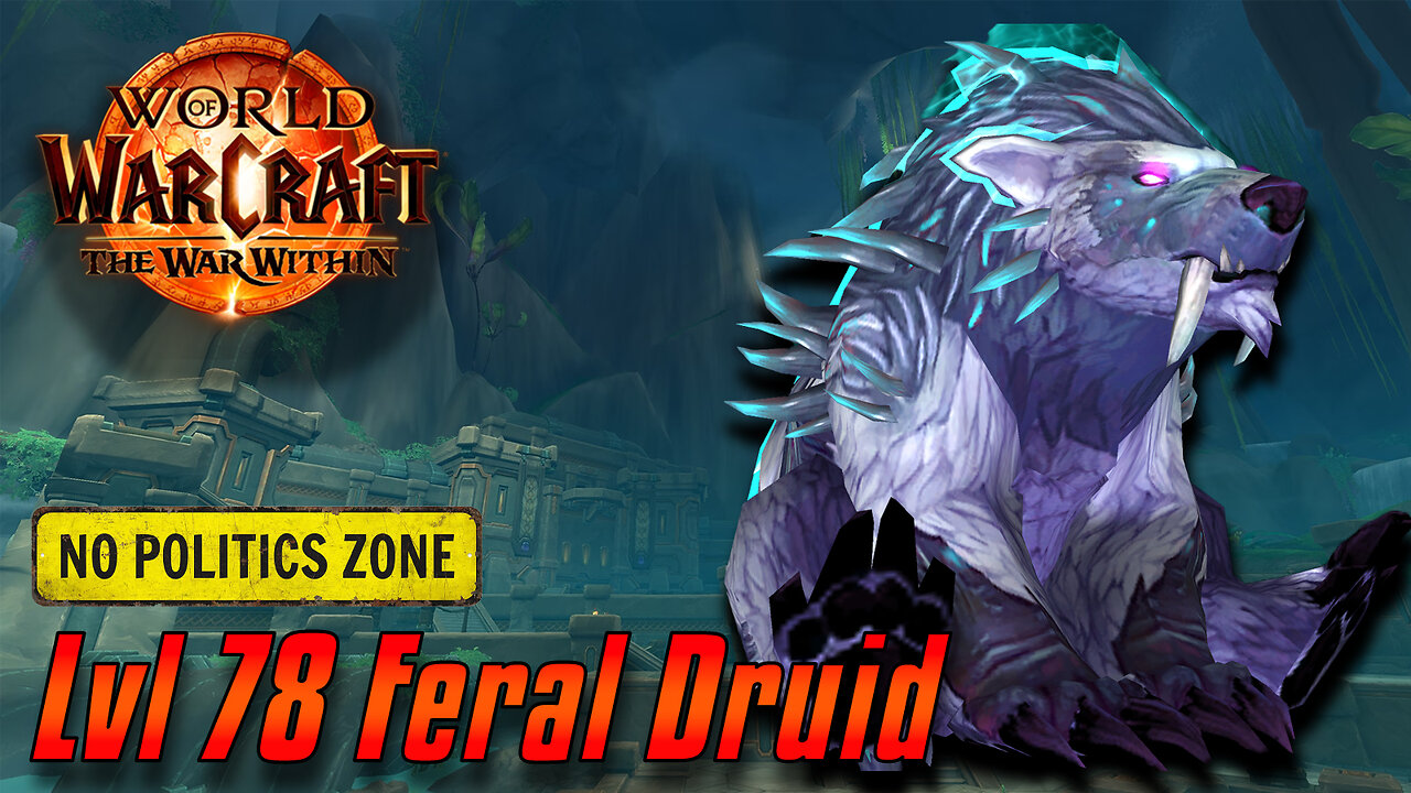 World of Warcraft: The War Within | Lvl 78 Feral Druid | ZERO POLITICS