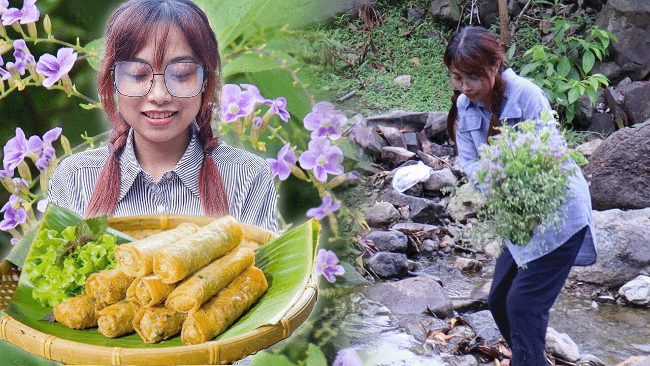 Harvesting, enjoy morning day and Cooking Vietnamese Fried Spring Roll - Dieu Lien TV